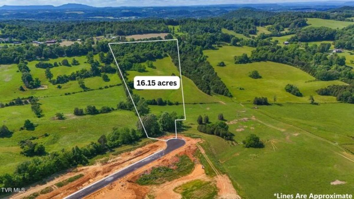 Picture of Residential Land For Sale in Jonesborough, Tennessee, United States