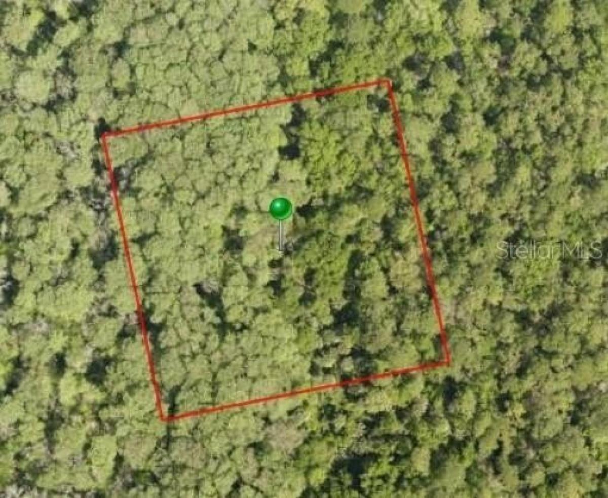 Picture of Residential Land For Sale in Oak Hill, Florida, United States