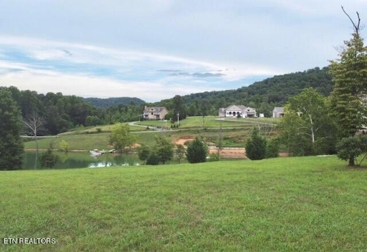 Picture of Residential Land For Sale in Sharps Chapel, Tennessee, United States