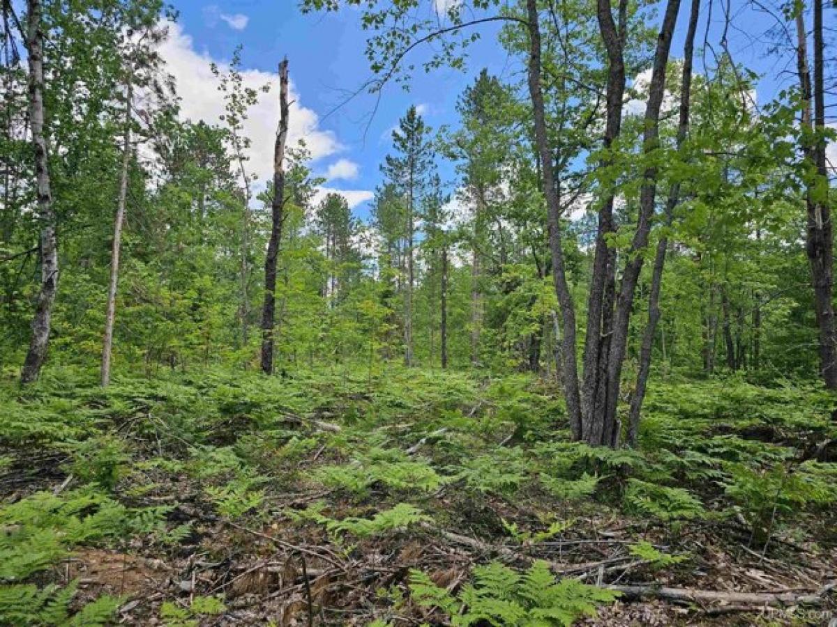 Picture of Residential Land For Sale in Little Lake, Michigan, United States