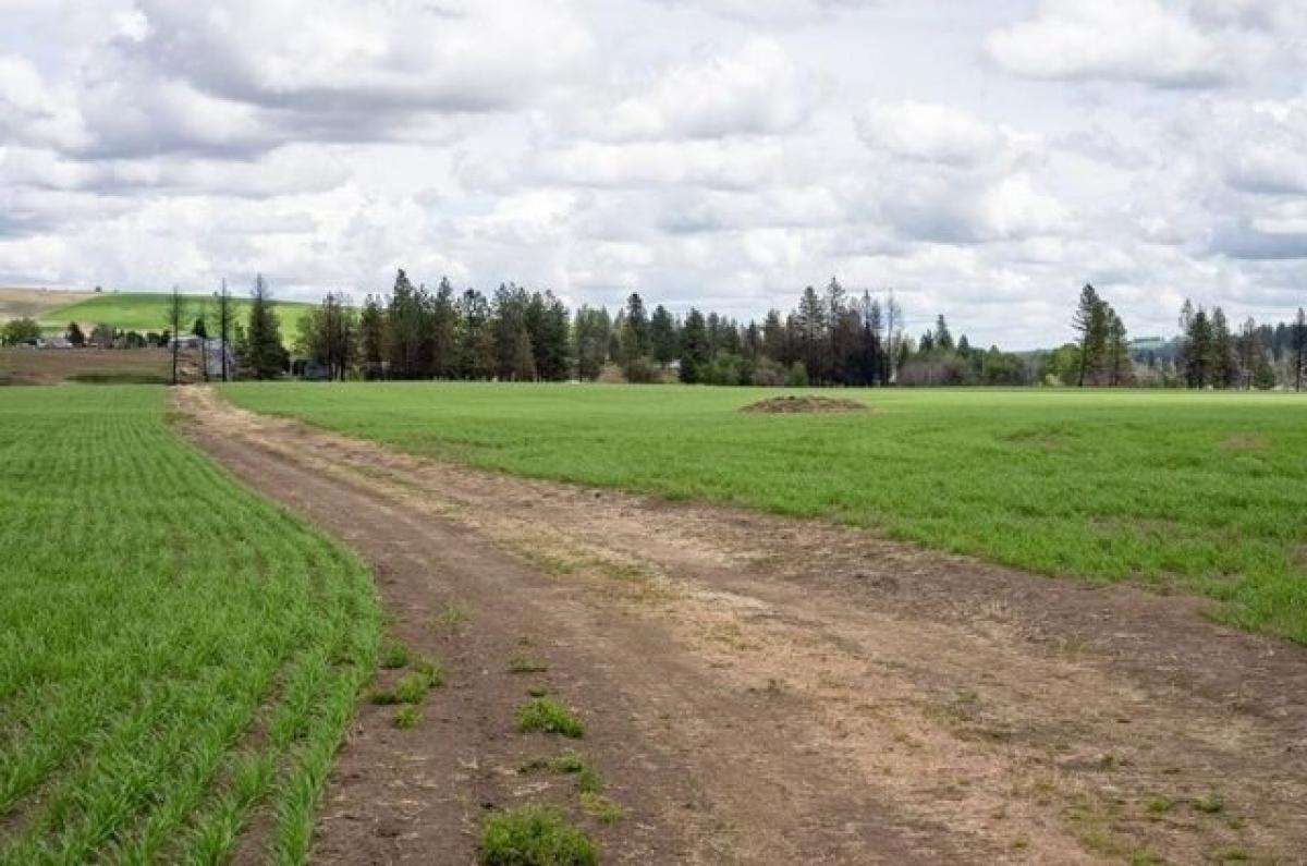 Picture of Residential Land For Sale in Medical Lake, Washington, United States