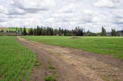 Residential Land For Sale in Medical Lake, Washington