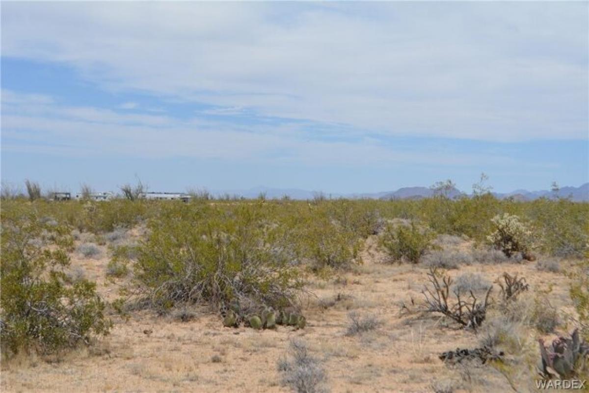 Picture of Residential Land For Sale in Yucca, Arizona, United States