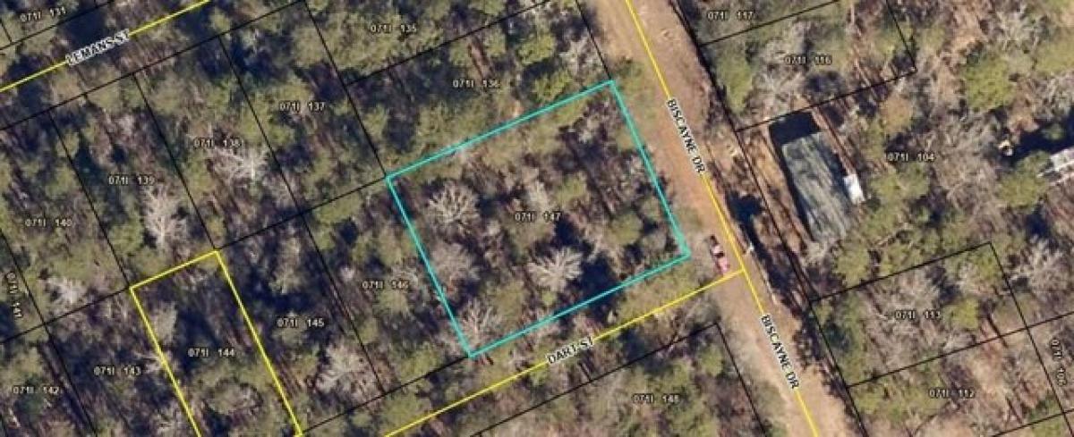 Picture of Residential Land For Rent in Martin, Georgia, United States