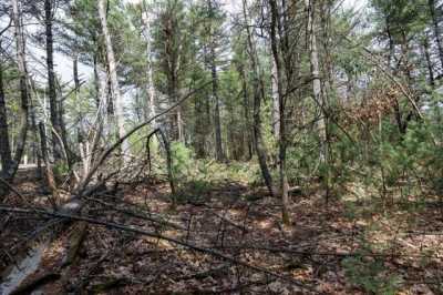 Residential Land For Sale in Friendship, Wisconsin