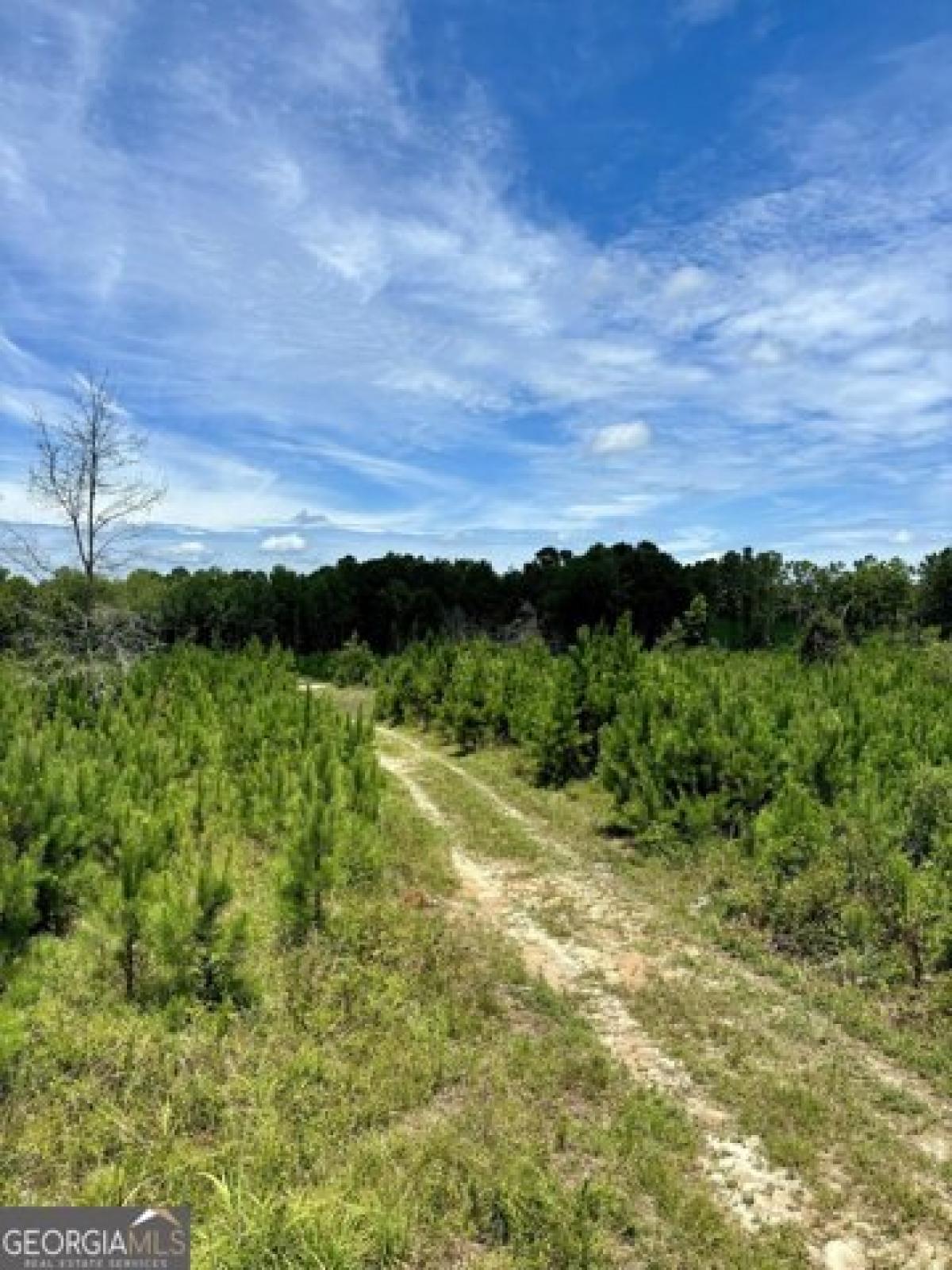 Picture of Residential Land For Sale in Carlton, Georgia, United States