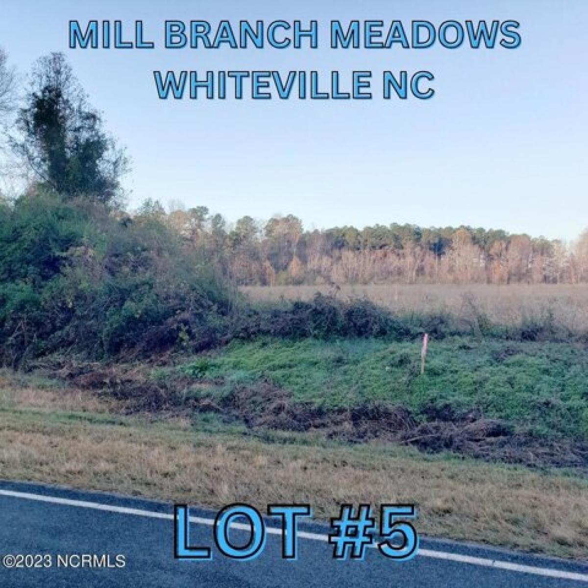 Picture of Residential Land For Sale in Whiteville, North Carolina, United States