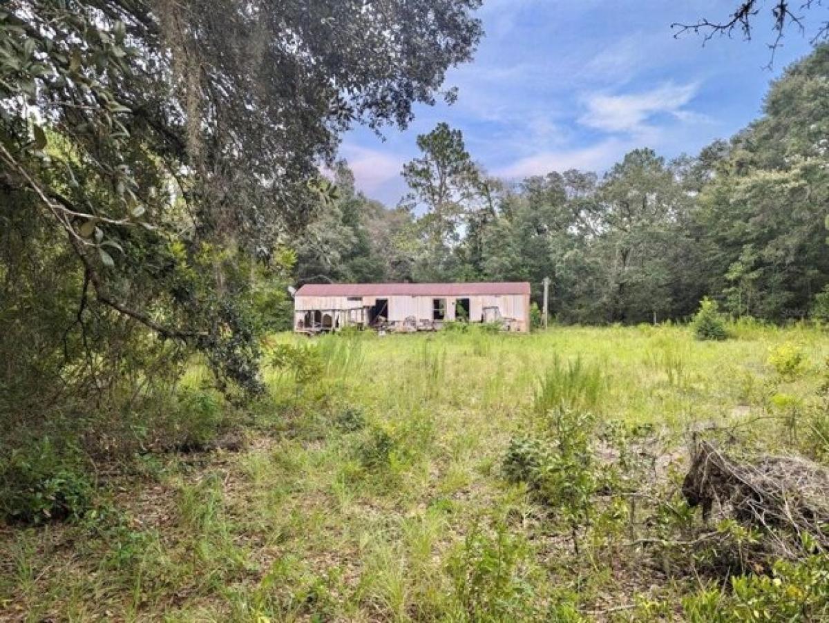 Picture of Home For Sale in Williston, Florida, United States