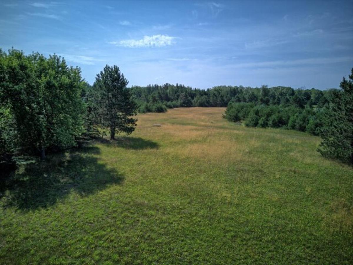 Picture of Home For Sale in White Cloud, Michigan, United States