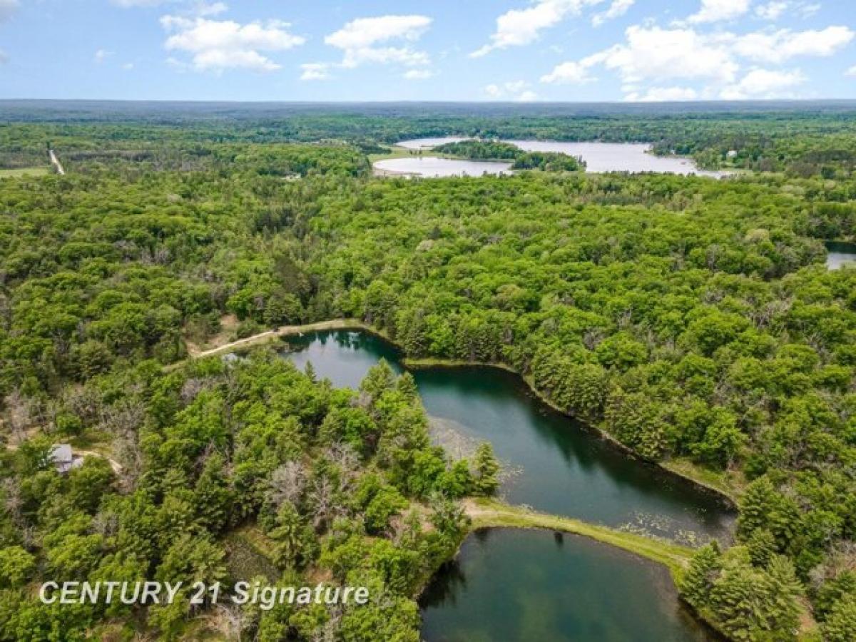 Picture of Residential Land For Sale in Curran, Michigan, United States