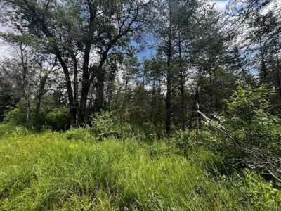 Residential Land For Sale in Idlewild, Michigan