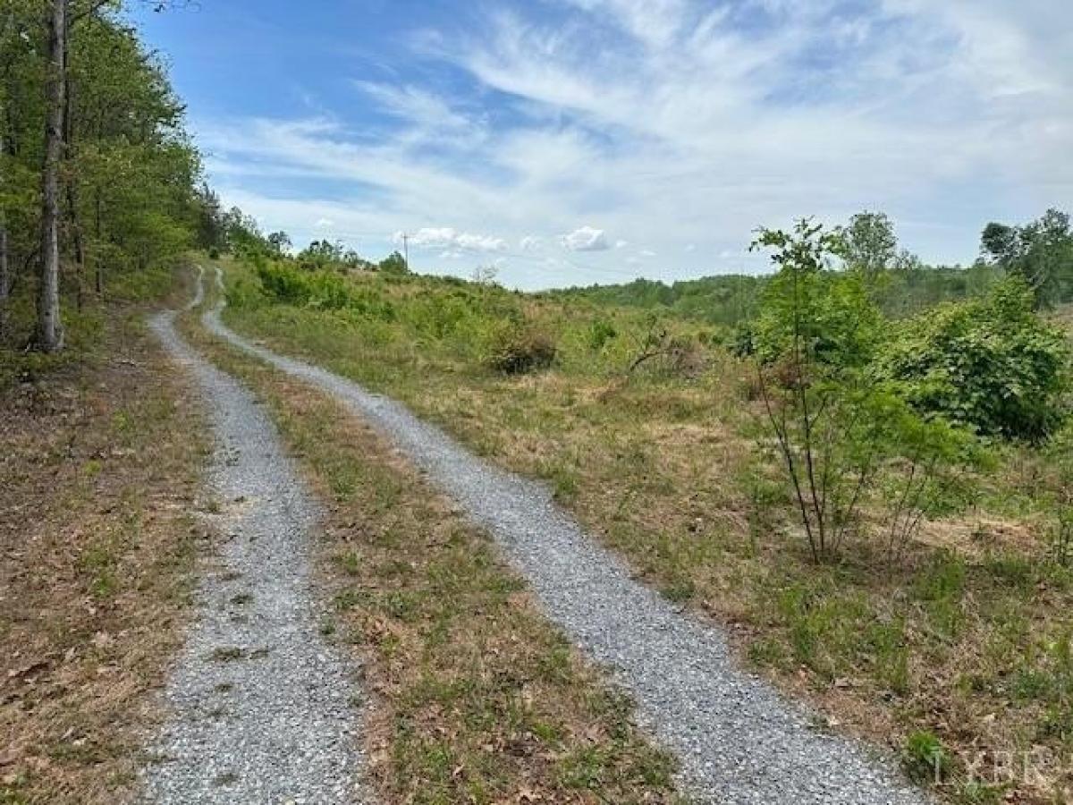 Picture of Residential Land For Sale in Lynch Station, Virginia, United States