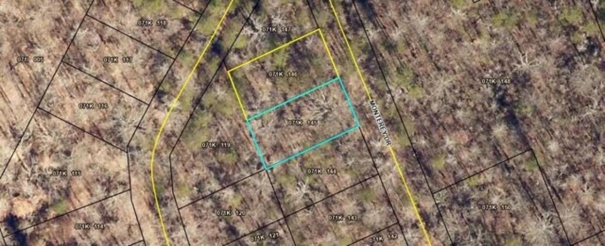 Picture of Residential Land For Rent in Martin, Georgia, United States