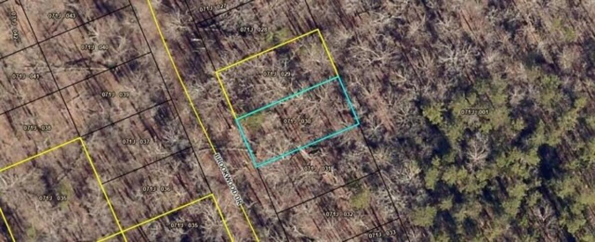 Picture of Residential Land For Rent in Martin, Georgia, United States