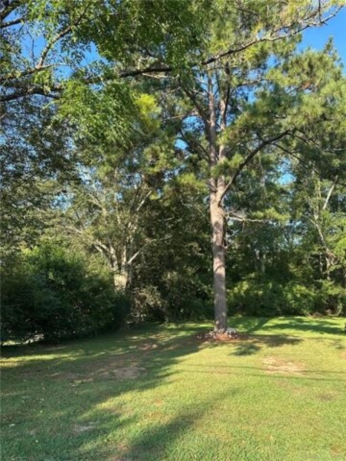 Picture of Residential Land For Sale in Lanett, Alabama, United States