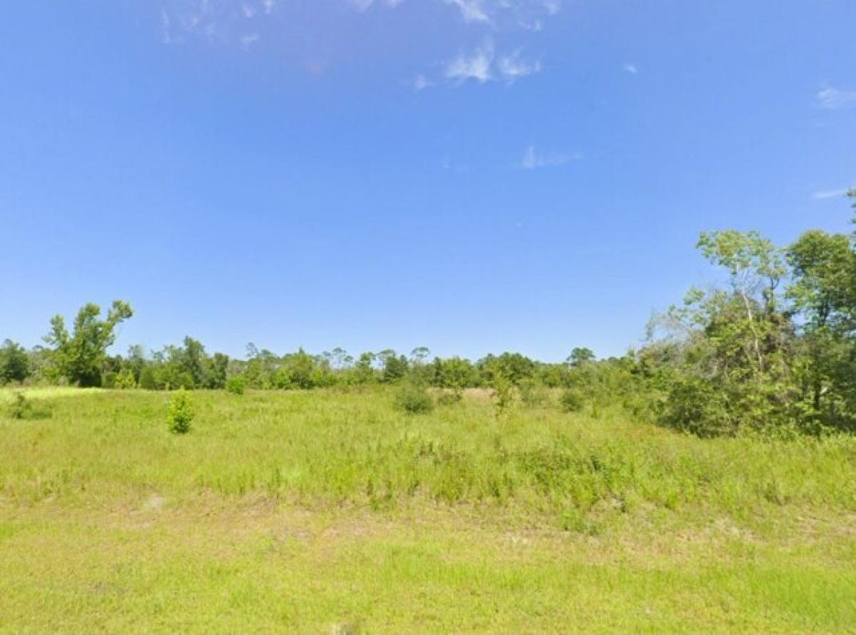 Picture of Residential Land For Sale in Wewahitchka, Florida, United States