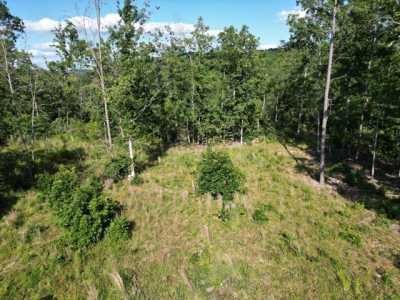 Residential Land For Sale in Eminence, Missouri