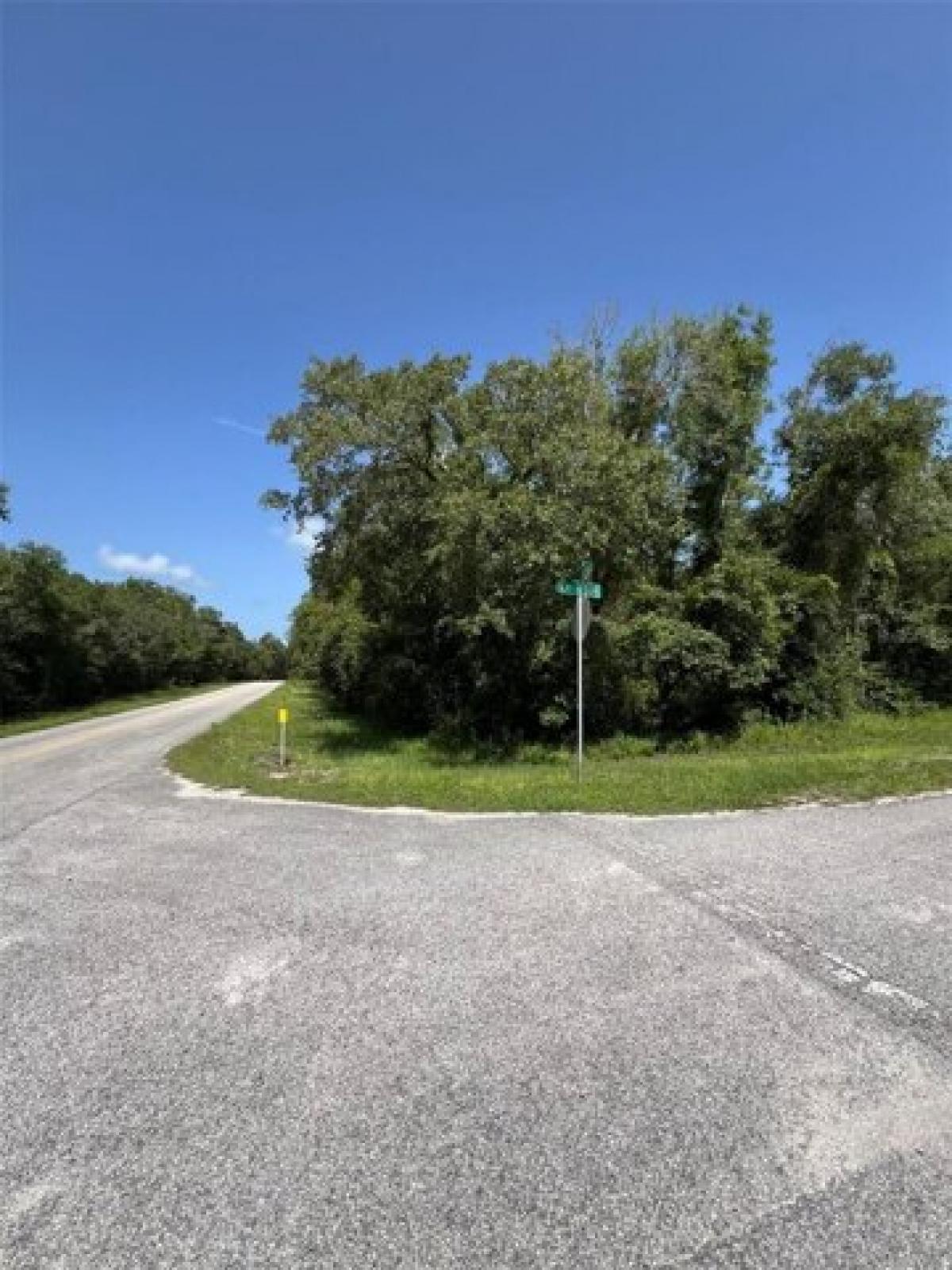 Picture of Residential Land For Sale in Webster, Florida, United States