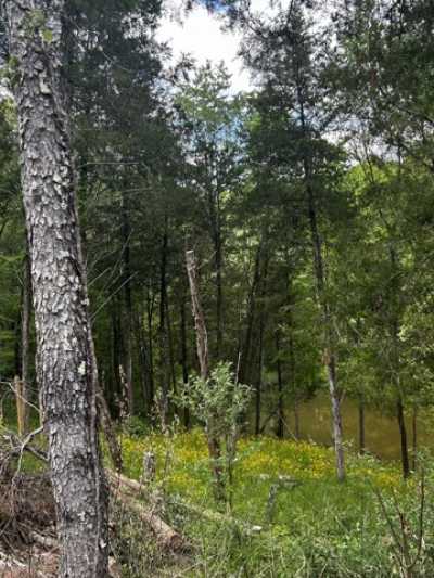 Residential Land For Sale in Bagdad, Kentucky