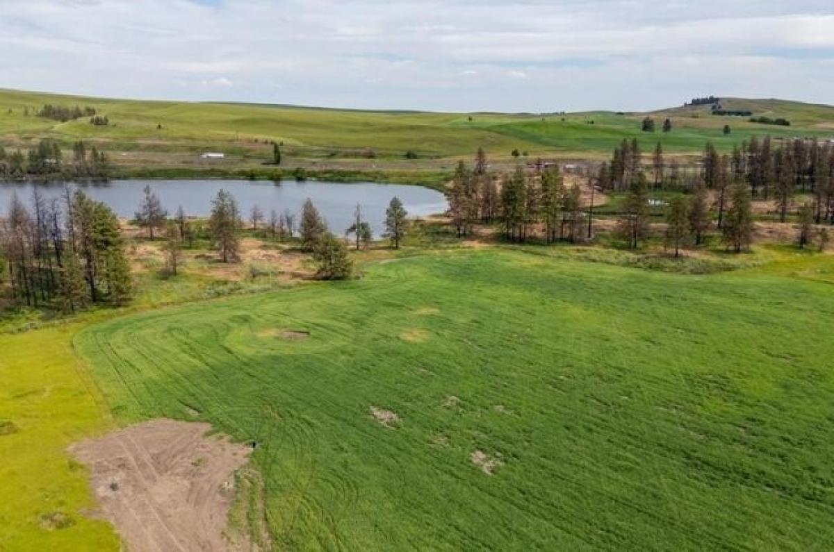 Picture of Residential Land For Sale in Medical Lake, Washington, United States