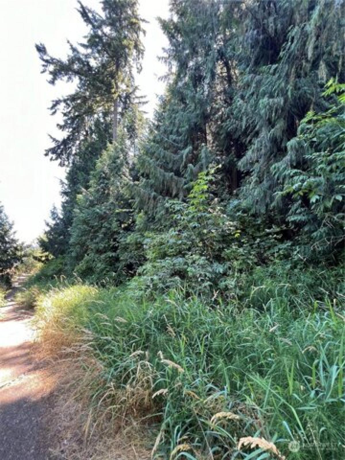 Picture of Residential Land For Sale in Auburn, Washington, United States