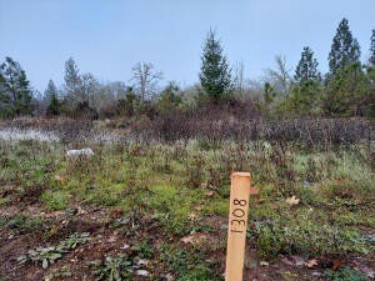 Picture of Residential Land For Sale in Cave Junction, Oregon, United States