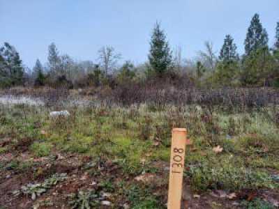 Residential Land For Sale in Cave Junction, Oregon