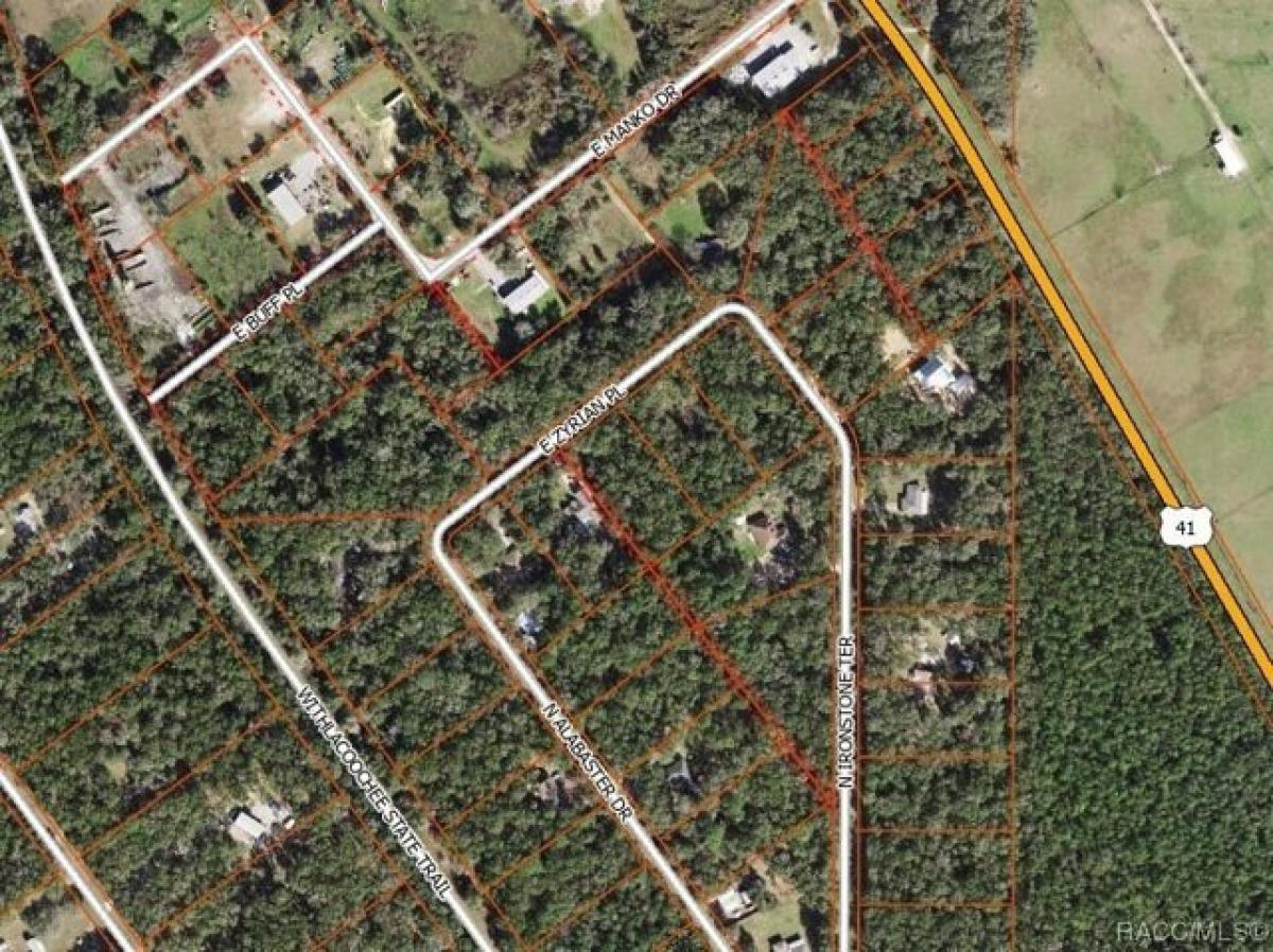 Picture of Residential Land For Sale in Hernando, Florida, United States