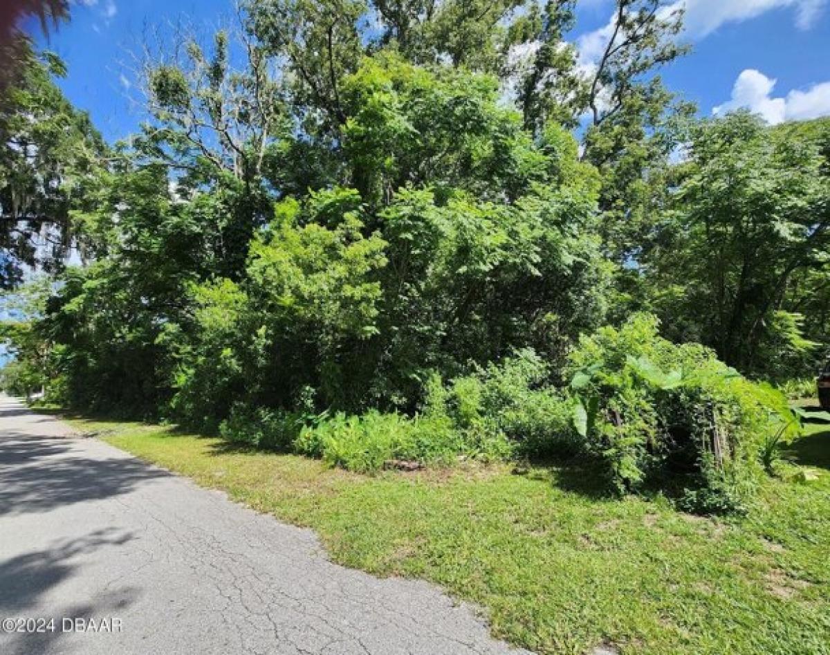 Picture of Residential Land For Sale in Lake Helen, Florida, United States