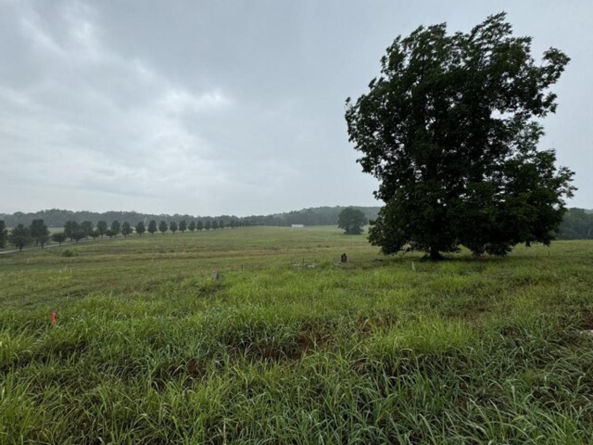 Picture of Residential Land For Sale in Wartrace, Tennessee, United States