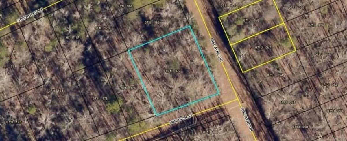 Picture of Residential Land For Rent in Martin, Georgia, United States