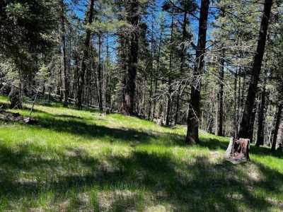 Residential Land For Sale in Kalispell, Montana