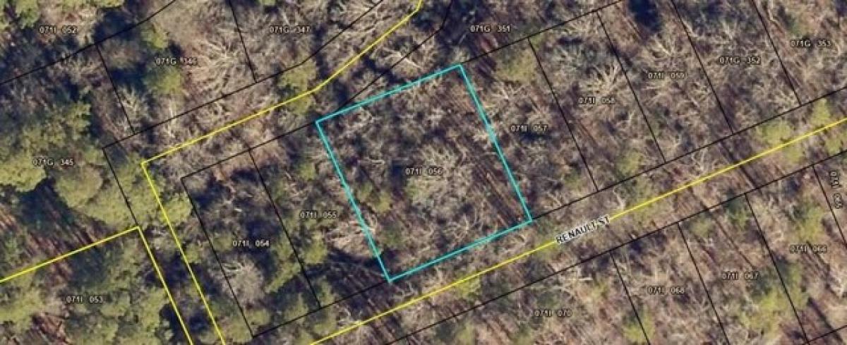 Picture of Residential Land For Rent in Martin, Georgia, United States