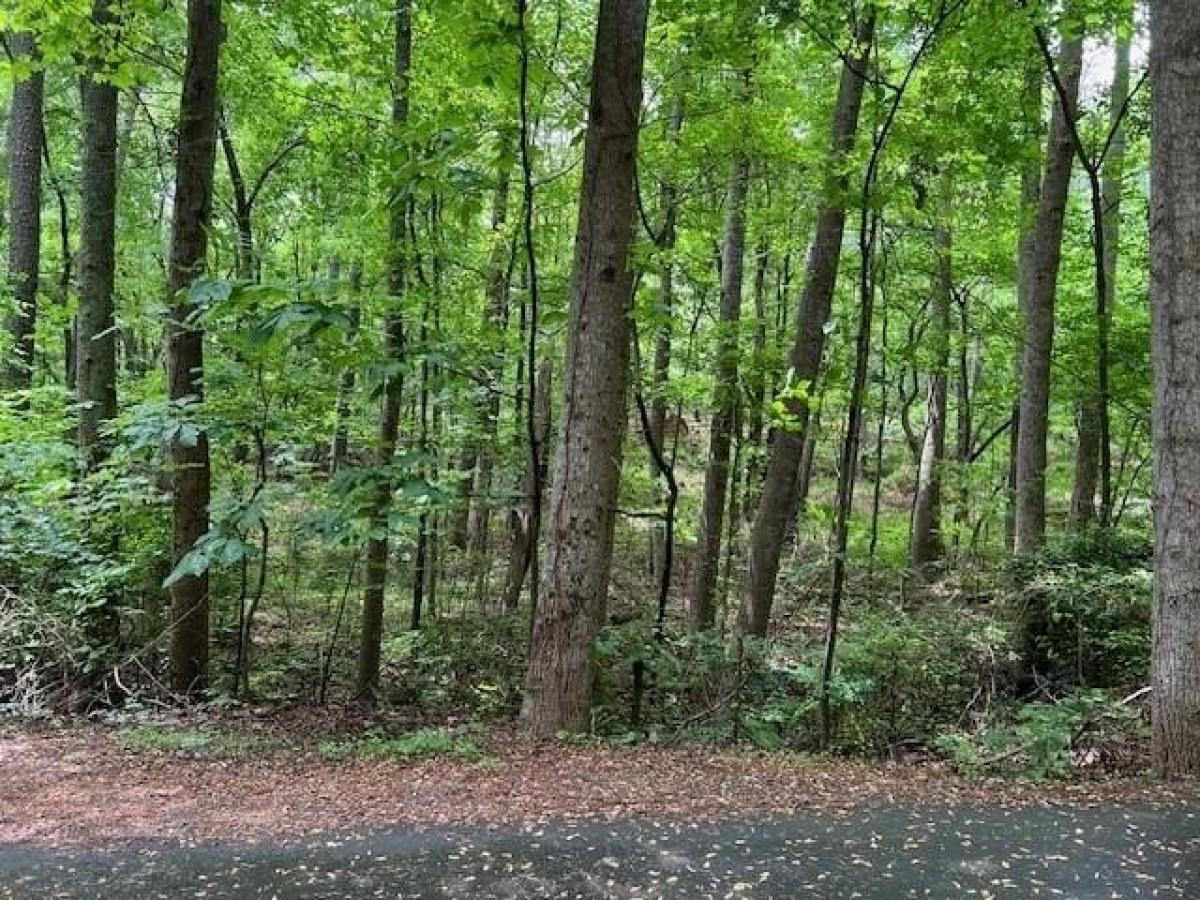 Picture of Residential Land For Sale in Marietta, Georgia, United States