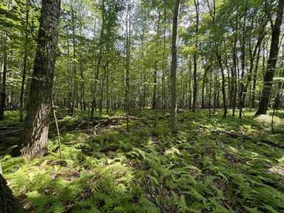 Residential Land For Sale in Morgantown, West Virginia