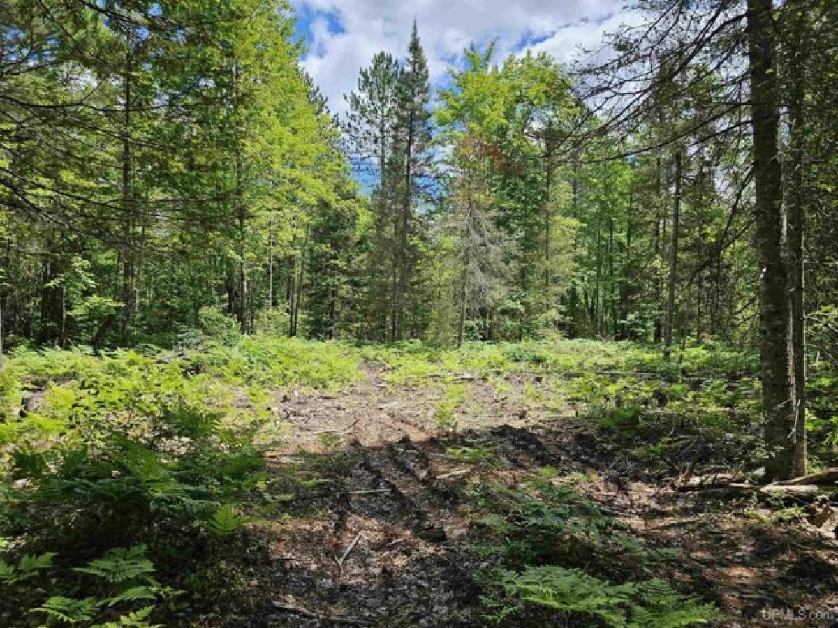 Picture of Residential Land For Sale in Little Lake, Michigan, United States