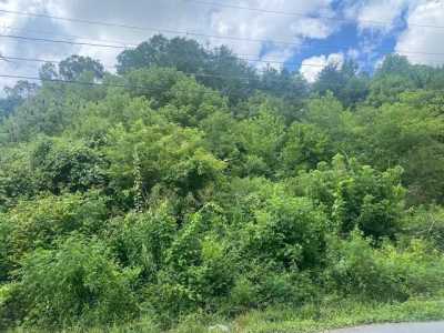 Residential Land For Sale in Lafayette, Georgia