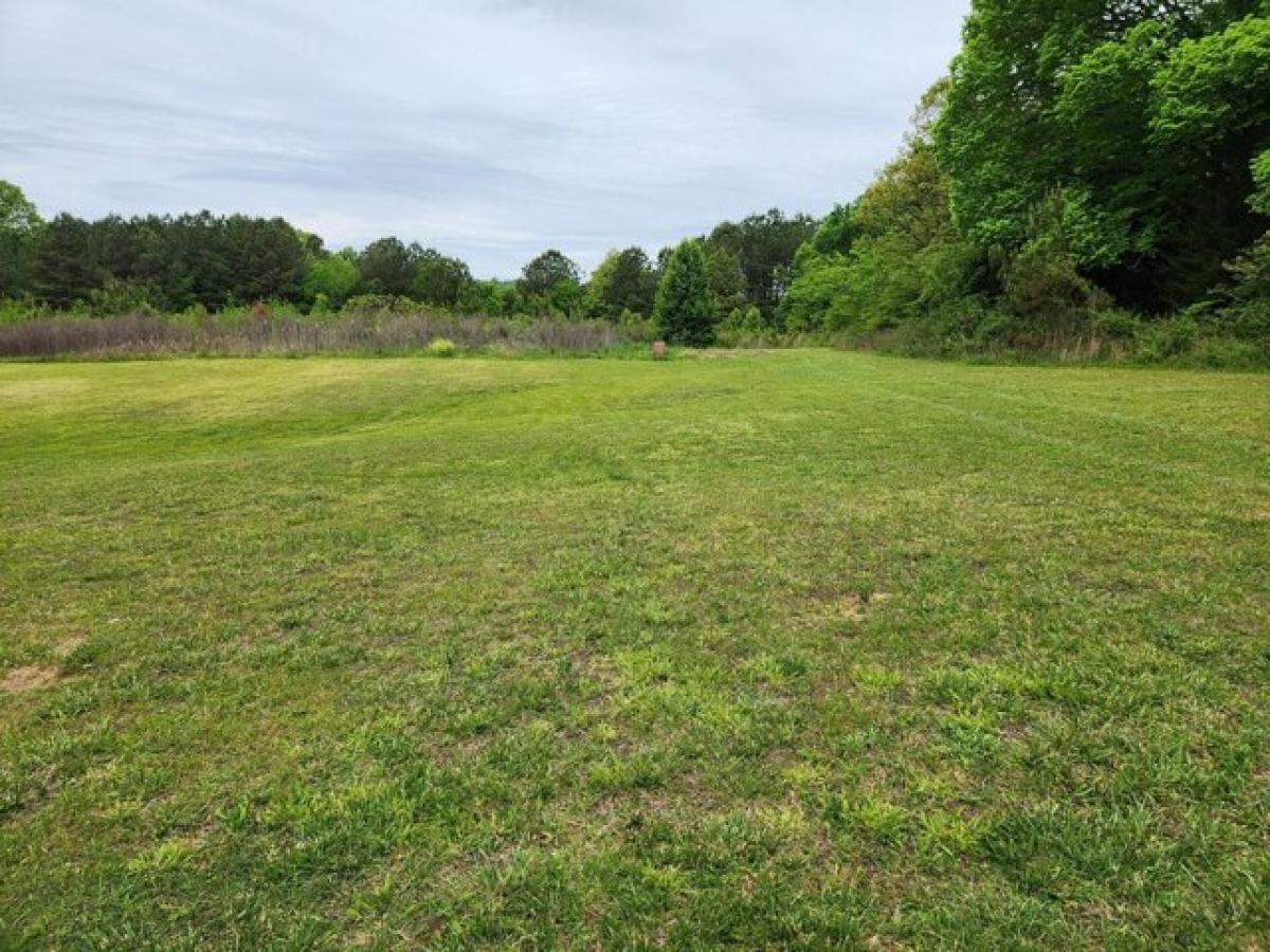 Picture of Residential Land For Sale in Charleston, Tennessee, United States