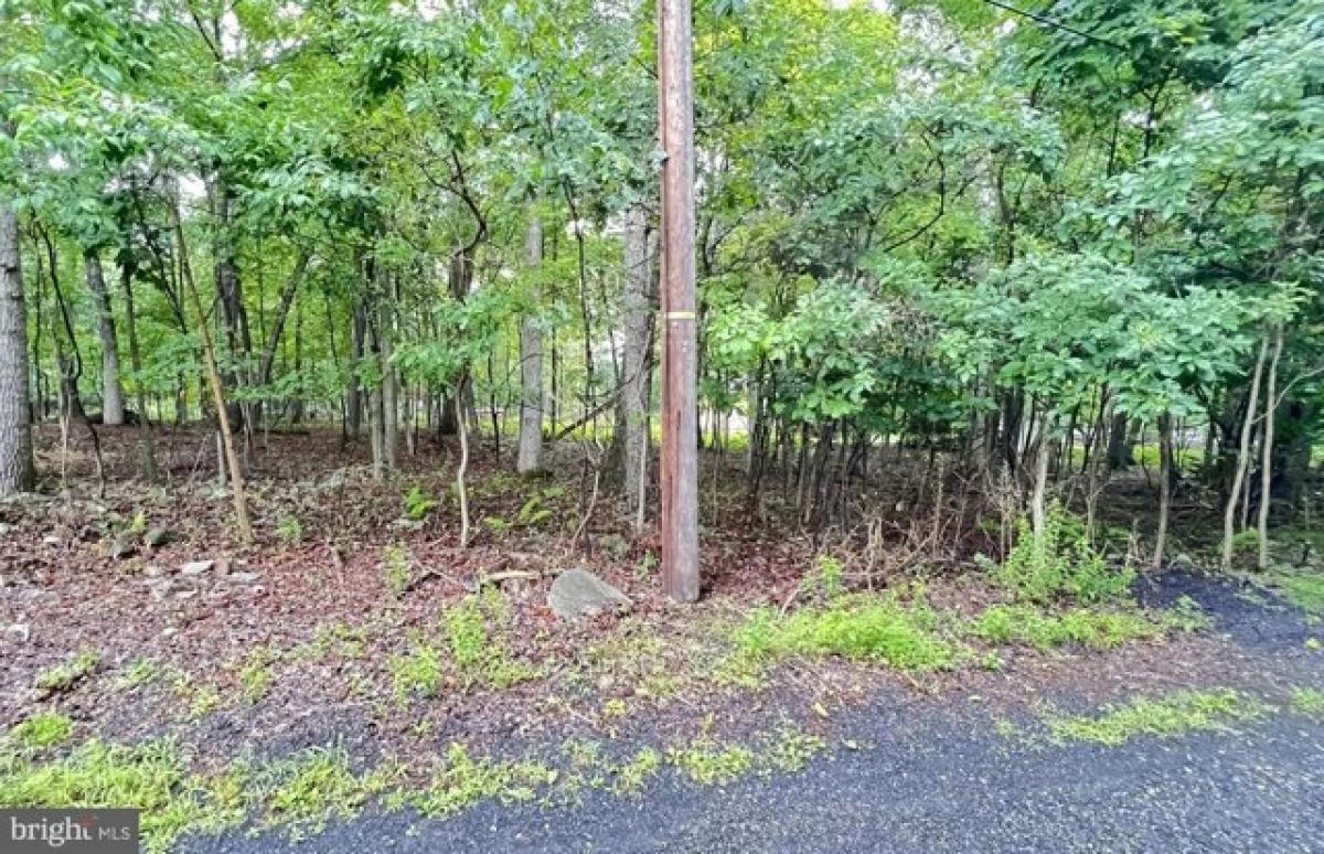 Picture of Residential Land For Sale in East Stroudsburg, Pennsylvania, United States