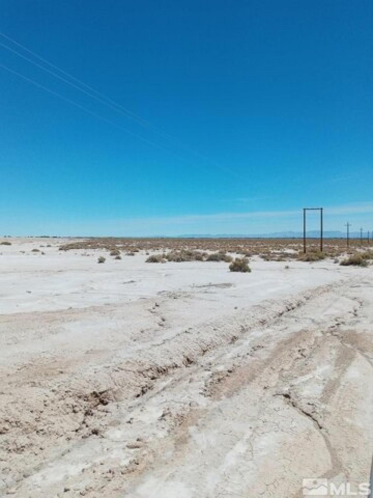 Picture of Residential Land For Sale in Fallon, Nevada, United States