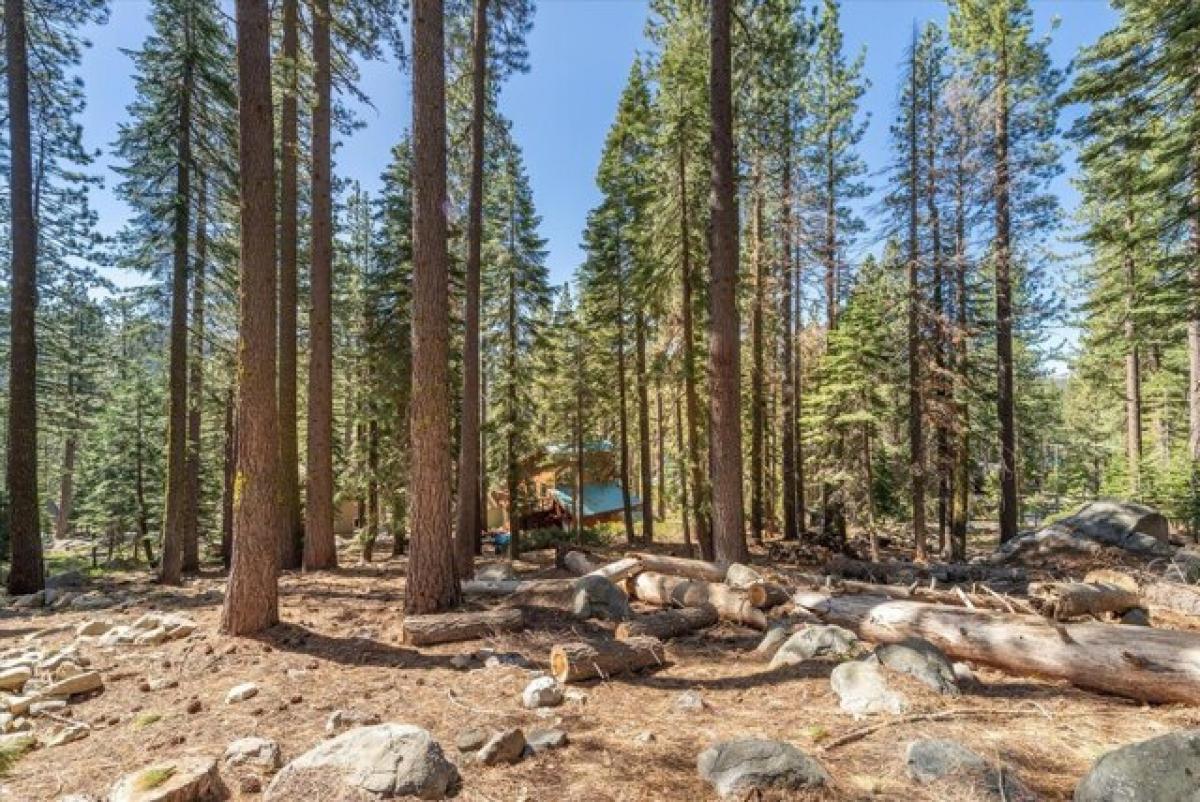 Picture of Residential Land For Sale in Soda Springs, California, United States