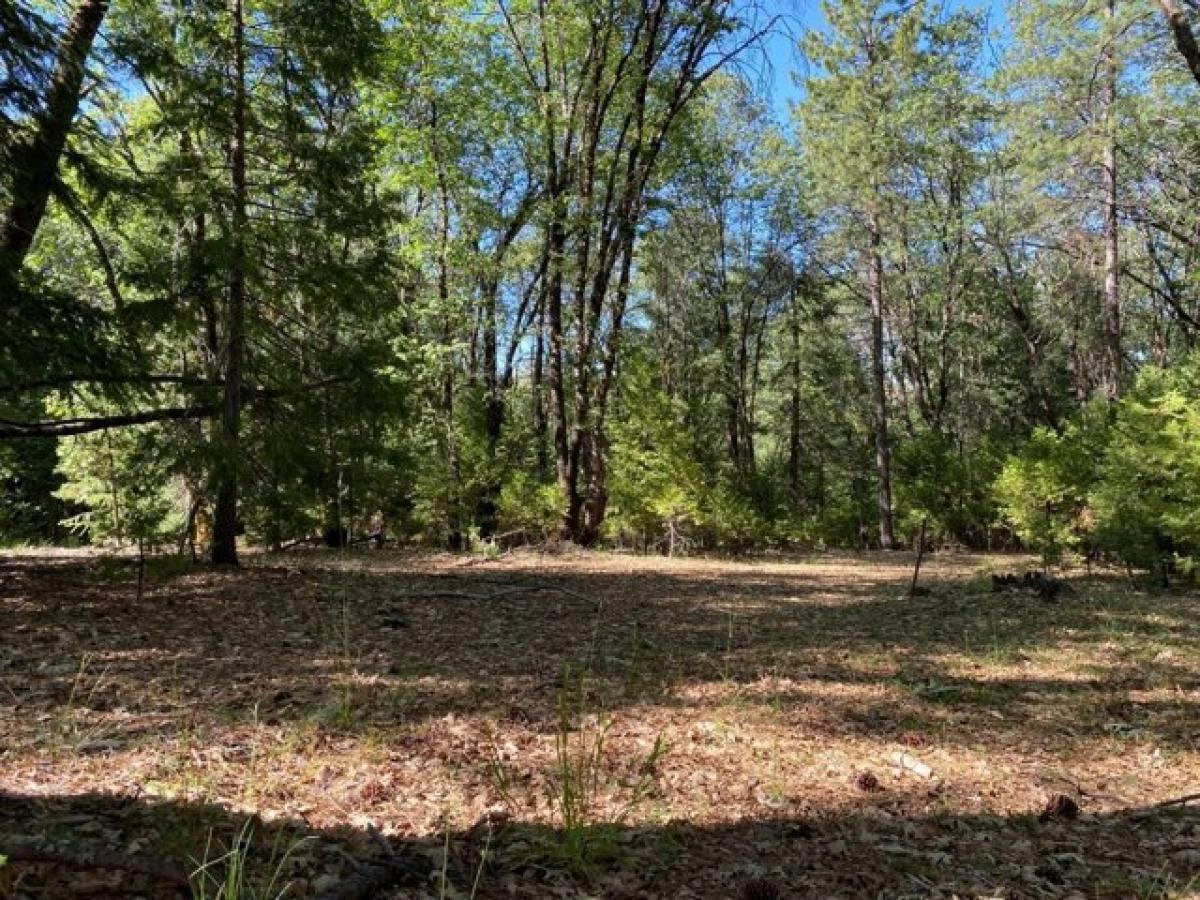 Picture of Residential Land For Sale in Grass Valley, California, United States