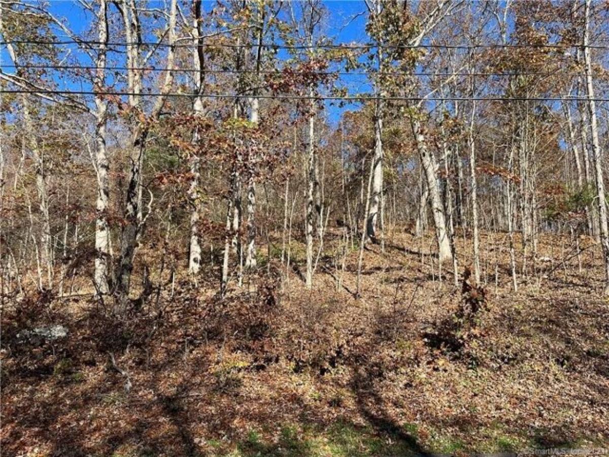 Picture of Residential Land For Sale in Colchester, Connecticut, United States