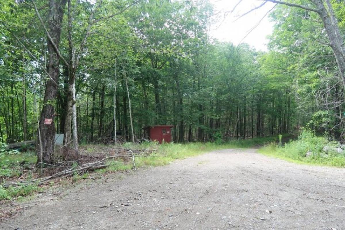 Picture of Residential Land For Sale in Liberty, Maine, United States