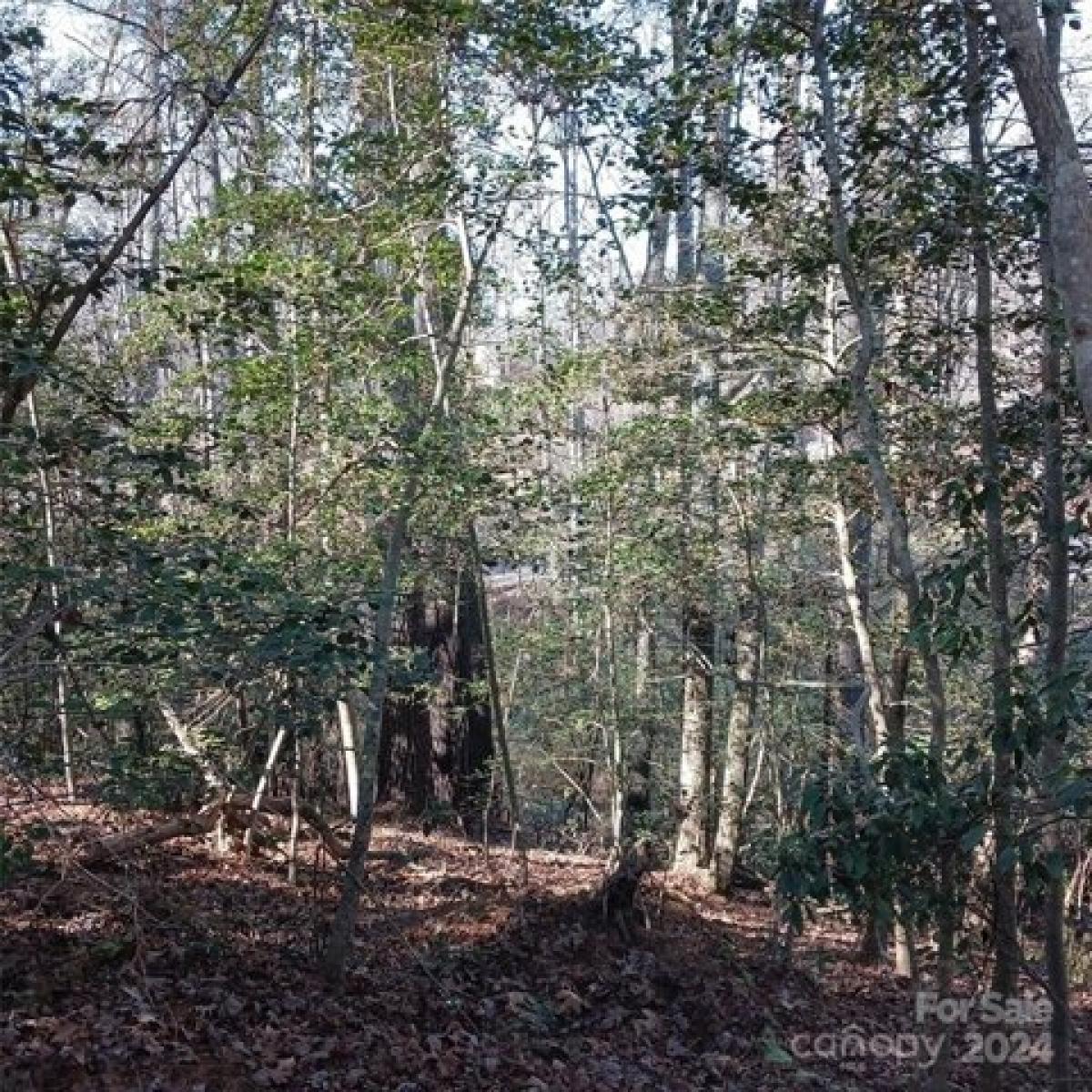 Picture of Residential Land For Sale in Valdese, North Carolina, United States