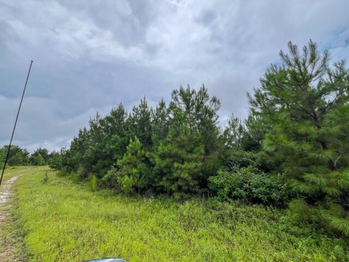 Picture of Residential Land For Sale in Groveton, Texas, United States