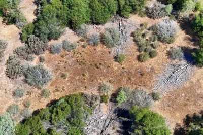 Residential Land For Sale in Mariposa, California