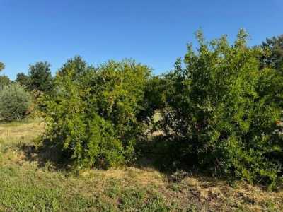 Home For Sale in Guinda, California