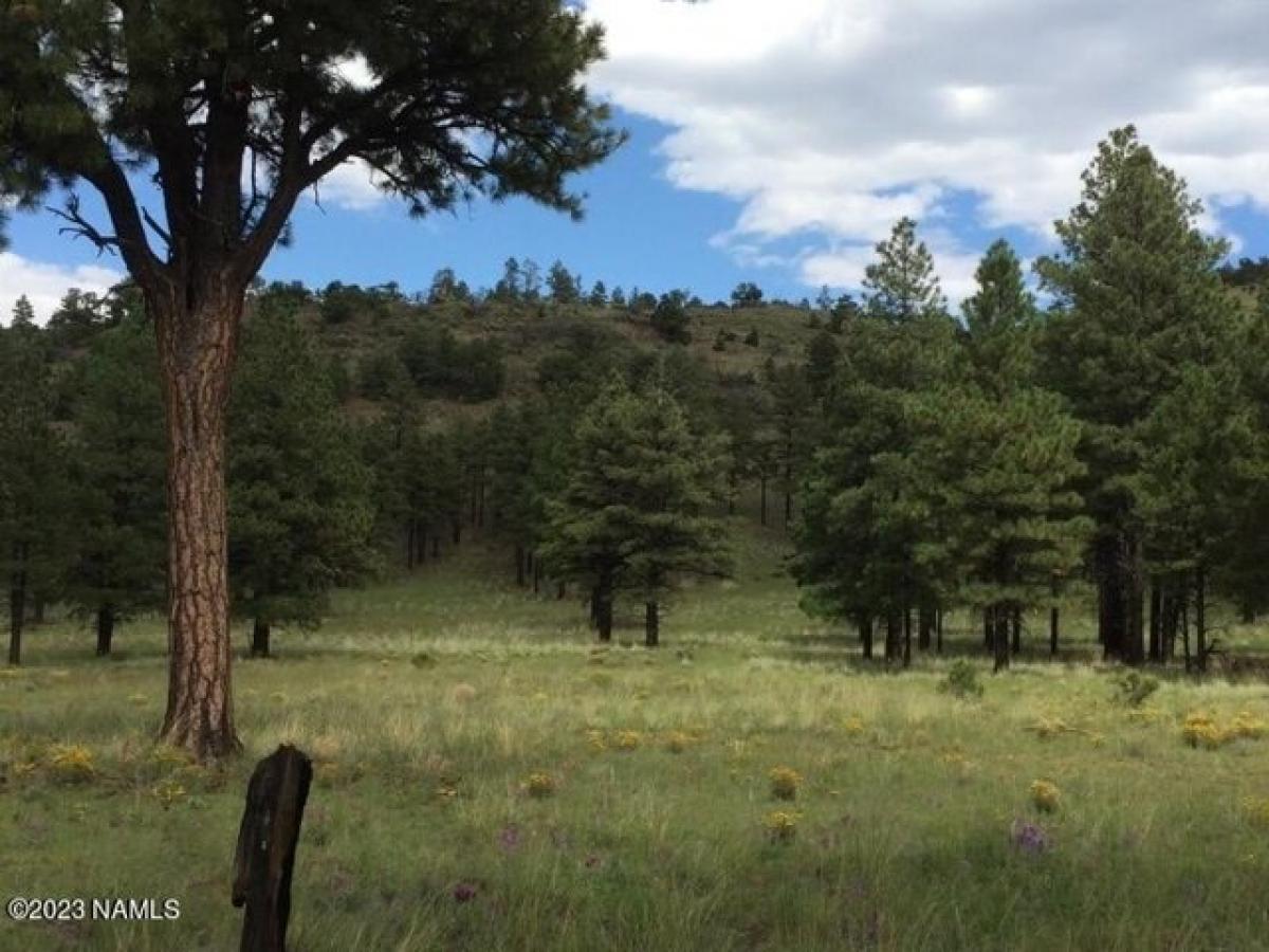 Picture of Residential Land For Sale in Flagstaff, Arizona, United States