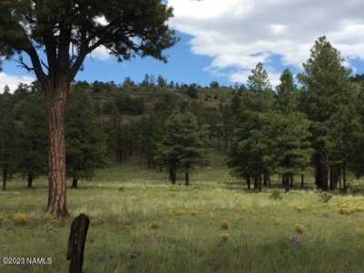 Residential Land For Sale in Flagstaff, Arizona